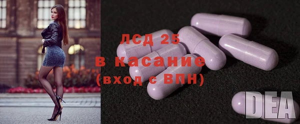 индика Алексин